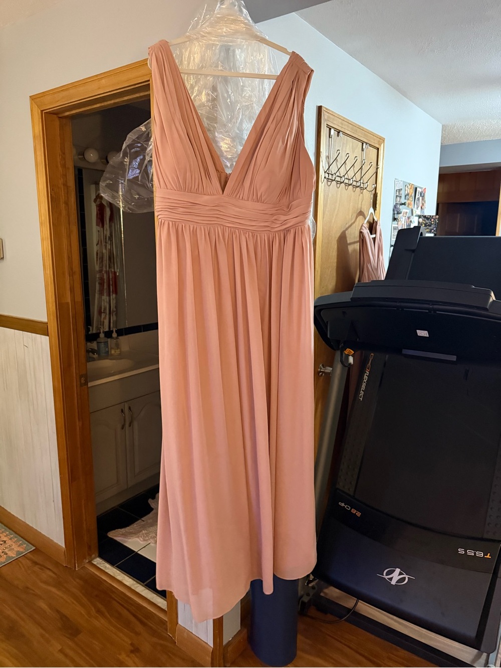JJs House Blush Pink V-Neck Chiffon Maxi Dress
